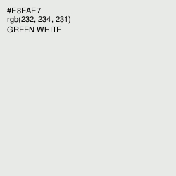 #E8EAE7 - Green White Color Image
